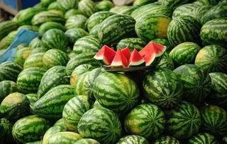 五一吃瓜网免费吃瓜,免费瓜果盛宴等你来尝! 第2张 五一吃瓜网免费吃瓜,免费瓜果盛宴等你来尝! 第2张