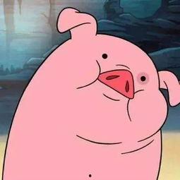 娱乐吃瓜酱猪猪视频下载,揭秘热门娱乐内容获取新方式 第2张 娱乐吃瓜酱猪猪视频下载,揭秘热门娱乐内容获取新方式 第2张